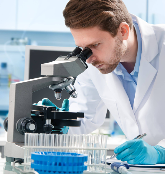 Labpeak About US Page