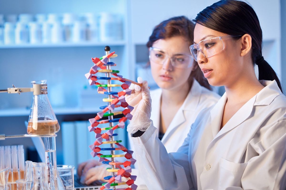 Laboratory Blog Layout